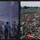 A screenshot of some images in the Corbis library.